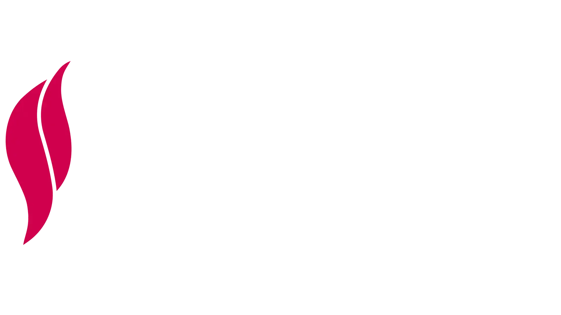 Tashidy Corporation Flame