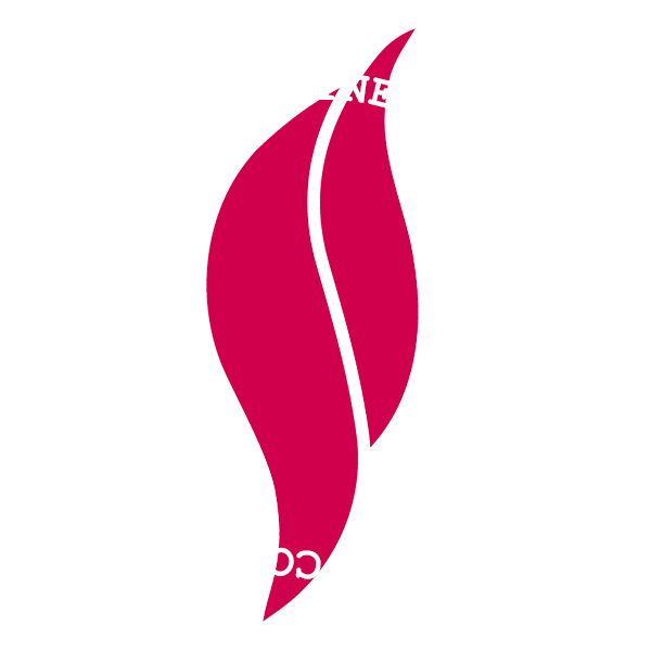 Tashidy Corporation: We Honor The Greatness Within You